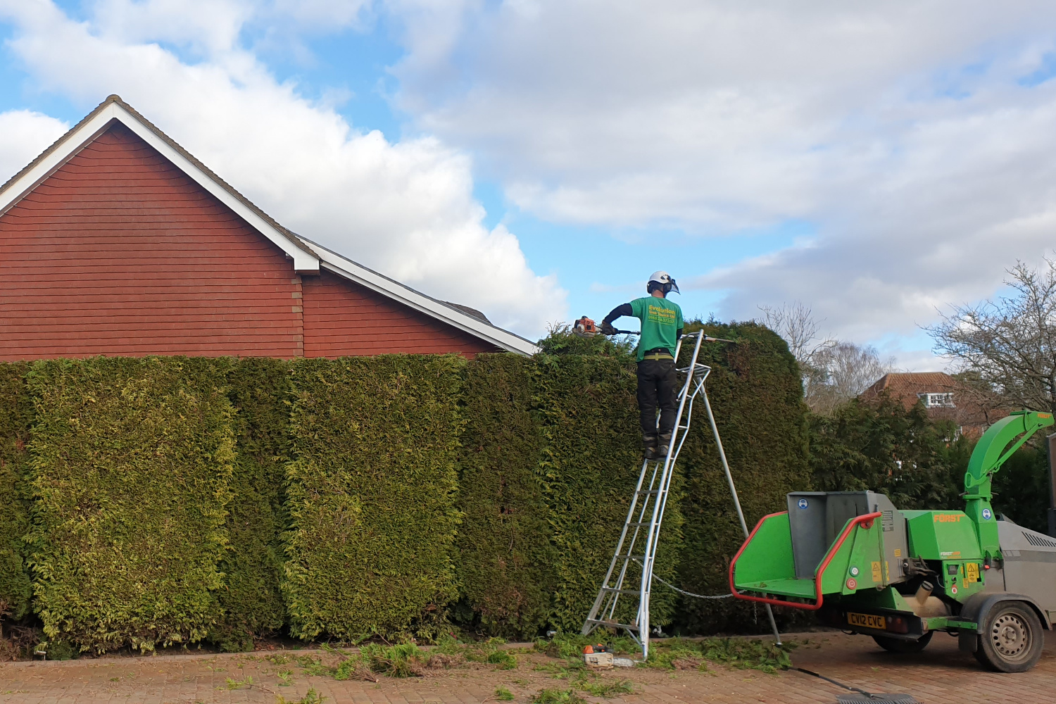Hedge Trimming in Langford