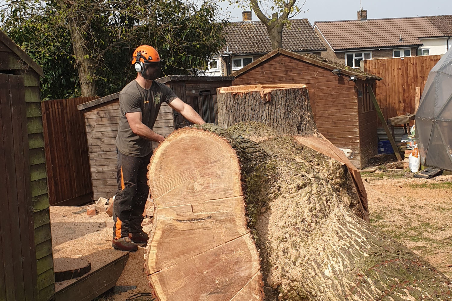 Wood