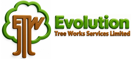 Evolution Tree Works Ltd Evolution Tree Works Ltd