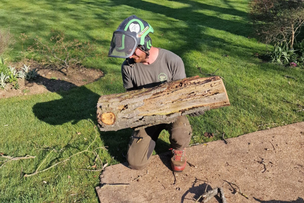 Langford Tree Reduction